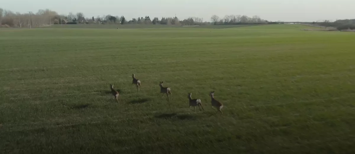 Zobacz, jak luksusowo mieszka Skolim! Jego dom skrywa tajemnice, o których nie miałeś pojęcia!